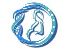 河北省石家庄试管婴儿机构_代妈借卵代怀代生助孕捐卵公司-祎和国际